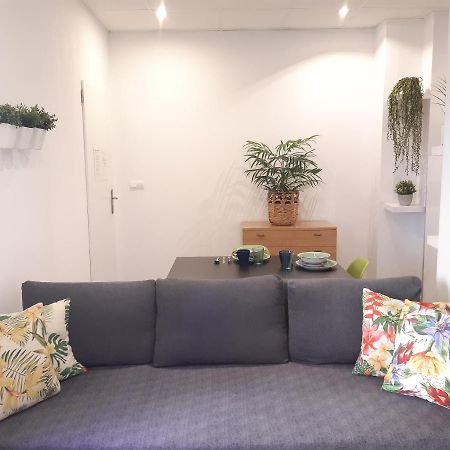 אליקאנטה Green Serenity Apartment מראה חיצוני תמונה